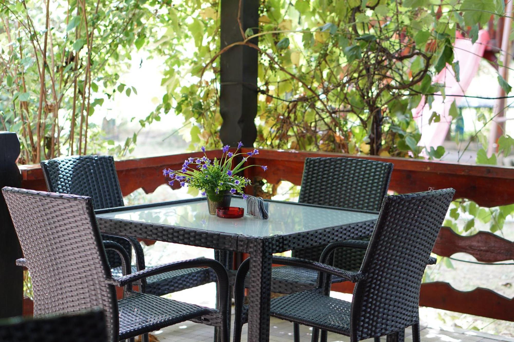 Villa Hanna'S Garden - Mintia 外观 照片
