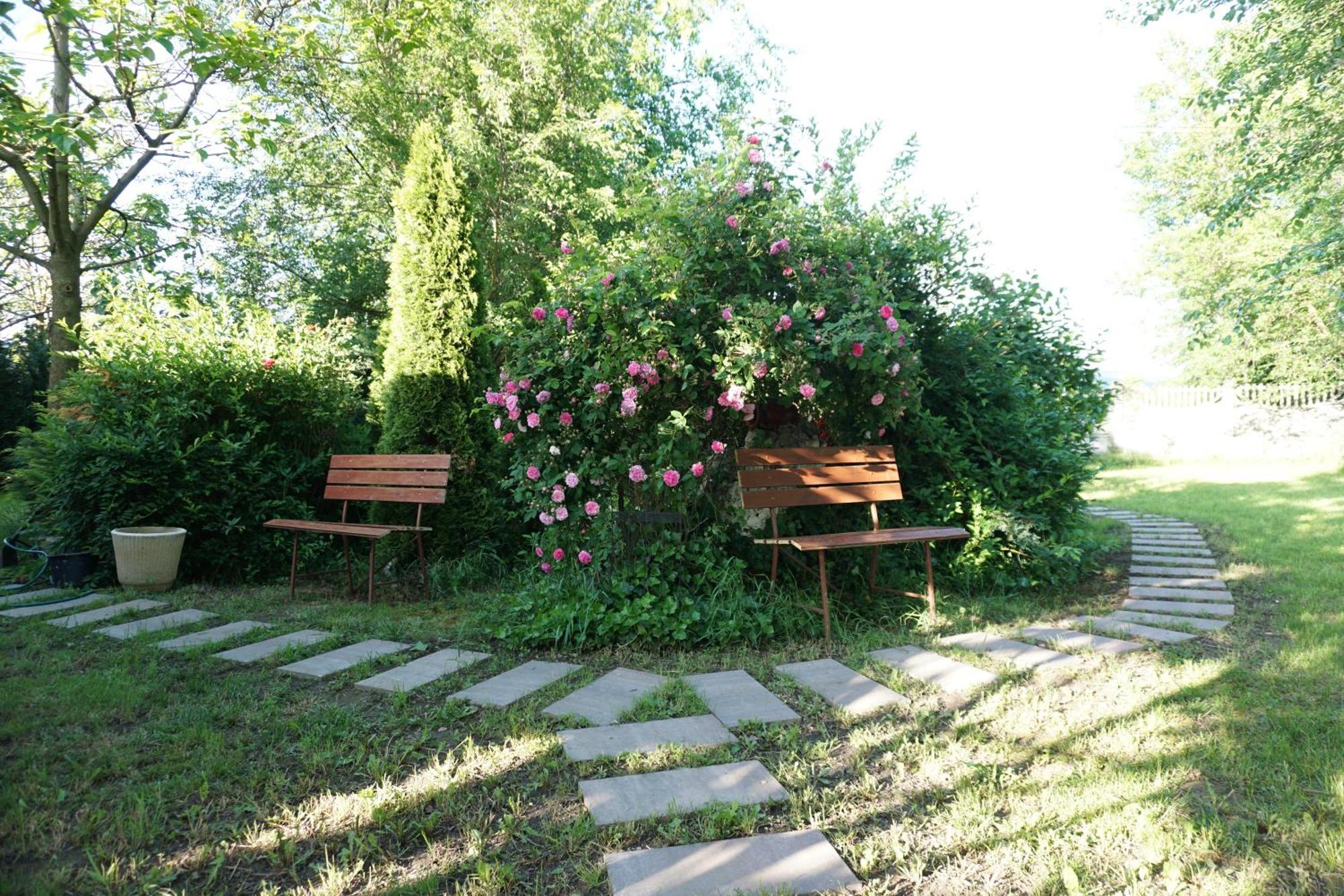 Villa Hanna'S Garden - Mintia 外观 照片